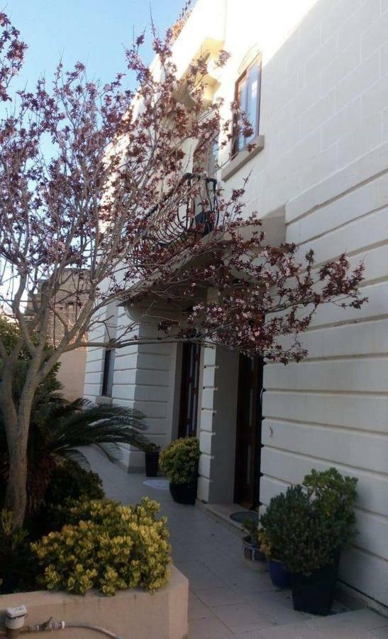 Homestay ナッシャー エクステリア 写真